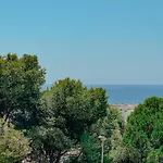 Helecho Villa