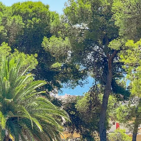 Helecho Villa Marbella