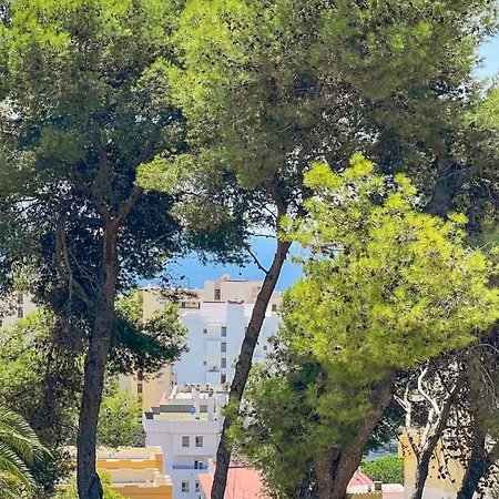 Helecho * Marbella