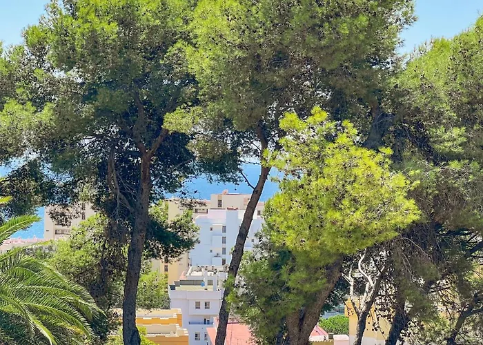 Helecho * Marbella
