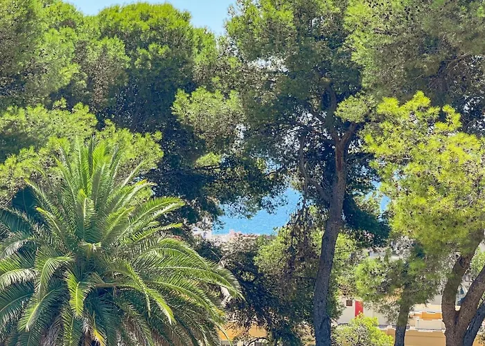 Helecho Willa Marbella